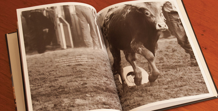 A double page spread featuring a sepia photograph of a young bull walking over an akubra in the dust.